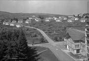 Eine der Siedlungen, wie sie in der zweiten Hälfte der 1940er-Jahre als Massnahme gegen die Wohnungsnot rasch hochgezogen wurden: die Wohnkolonie Sömmerli. Im Bild von 1946 sind links hinter den zweigeschossigen Neubauten die beiden damaligen Häuser der Sömmerli-Altersheime zu erkennen. Entstanden ist das Bild von der Kreuzung Sömmerli- und Schönaustrasse her. Rechts hinter der Kreuzung liegt heute die Sömmerliwiese. (Bilder: Stadtarchive politische und Ortsbürgergemeinde SG/Sammlung Foto Gross)