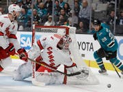 Timo Meier (28) konnte Hurricanes-Goalie James Reimer nicht überwinden, ging aber als Sieger vom Feld (Bild: KEYSTONE/AP/BEN MARGOT)