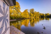 Leserbild. Den goldenen Herbstmorgen fotografierte Christian Wild auf Drei Weieren.