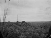 Die Fotografie Tierra caliente - «Traurige Tropen», Añangu, 2. April 2018, 17.32 Uhr von Guido Baselgia ist Teil der Ausstellung «Guido Baselgia - Als ob die Welt zu vermessen wäre» in der Fotostiftung Schweiz. Sie dauert vom 19. Oktober 2019 bis 16. Februar 2020. (Bild: Guido Baselgia)