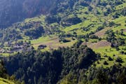 Engerlingsschäden sind in Gurtnellen zu verzeichnen, wie an den braunen Matten erkennbar ist. (Bild: Robi Kuster)