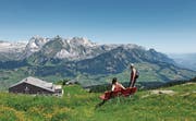 Auch die Jungen zieht es vermehrt in die Berge zum Wandern, wie hier auf die Gamsalp in Wildhaus. Bild: PD