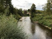 Die Glatt weist hier bei ihrer Einmündung in die Thur beim Thurhof in Oberbüren rund 45 mg Chlorid je Liter auf. In unbelasteten Gewässern sind es 2–4 mg/l. (Bild: Andrea Häusler)