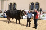 Stier Guido von Jakob Frick aus Herisau wurde in Teufen zum «Mister BS» gekürt. (Bild: Claudio Weder)