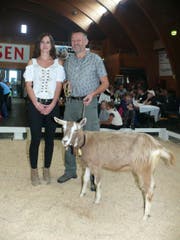 Peter Scherrer gewinnt mit Ornella die Konkurrenz der Ziegen. (Bild: Franz Steiner)