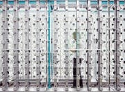 Produktion am Hauptsitz der Schoeller Textil AG in Sevelen. (Bild: PD)
