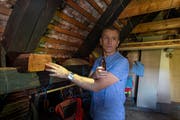 Guido Schnyder von der Besitzerfamilie zeigt die abgesägten alten Holzbalken im Dachstock. Dieser dient heute als Wohnung. Ursprünglich diente er als Rauchhaus, wo Schinken und Speck zum Trocknen aufgehängt wurden. Bild: Dominik Wunderli (17. Oktober 2019)