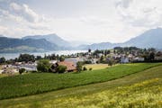 Geht es nach den Initianten, Grünen und SP, sollen im Kanton Luzern künftig harte Regeln im Umgang mit Kulturland gelten. Im Bild: die Gemeinde Meggen. (Bild: Manuela Jans-Koch, 18. Juli 2019).