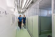 Tierpflegerin und Hundetrainerin Maria Sandén (links) und Susanna Ineichen Vizepräsidentin Tierschutz Luzern, führen den Siberian Husky "Mojak" zu seiner Box in einem der beiden Hundehäuser. Bild: Pius Amrein (Root, 22. Oktober 2019)