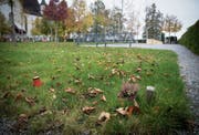 Im neuen Gemeinschaftsgrab auf dem Friedhof in Engelburg wurden bislang nur wenige beigesetzt.Bild: Ralph Ribi (22. Oktober 2019)