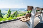 Wieso die warmen Temperaturen nicht draussen bei einem Spaziergang geniessen? (Bild: Andrea Stalder)