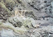 Auf dem Känzeli-Plateau, wo das Wasser 20 Meter in die Tiefe stürzt, wurde damals eine neue, rund 150 Zentimeter hohe Prallwand erstellt. (Bild: PD)