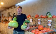 Landwirt Martin Zogg mit zwei ausgefallenen Flaschenkürbissen in den Händen. (Bild: Corinne Hanselmann)