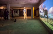 Videoinstallation «The River, The Horse & The Woman» von Rhona Mühlebach im Tiefparterre des Kunstraum Kreuzlingen.