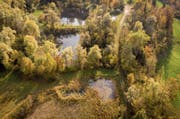 Die ehemalige Kiesgrube Espel ist heute ein Amphibienlaichgebiet von nationaler Bedeutung. (Bild: Benjamin Manser)