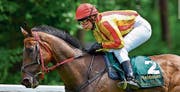 Laura Schwager mit Siegerpferd Scappato am Wettstar Junior-Cup Südwest. Bild: Kurt Lichtensteiger