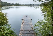 Die Wiesen mit dem Flurnamen «Arsch» befinden sich hinter dem Bommer Weiher. (Bild: Reto Martin)
