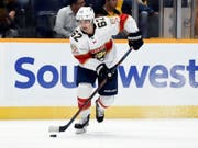 Denis Malgin ist der Saisonstart mit den Florida Panthers geglückt (Bild: KEYSTONE/FR170793 AP/MARK ZALESKI)