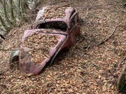 Der VW-Brezelkäfer stand seit 1964 im Bündner Wald. (Bild: PD)
