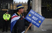 Ein Demonstrant und Brexit-Gegner vor dem britischen Parlament. (Bild: Keystone)