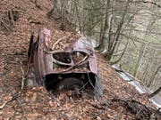 Heckansicht: Der VW-Bretzelkäfer stand seit 1964 im Bündner Wald. (Bild: PD)