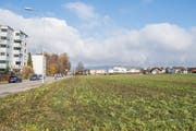 Die Parzelle 50440 für das Mehrgenerationenprojekt im Eigentum der Stadt Frauenfeld liegt an der Sonnenhofstrasse im Westen Frauenfelds. (Bild: Donato Caspari)