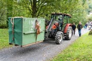 So wurde die Bärin in den Tierpark Goldau gebracht. (Bild: Natur- und Tierpark Goldau)