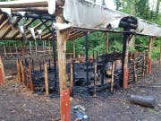 Der zerstörte Unterstand im Waldkindergarten Alpnach. (Bild: PD)