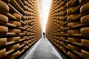 Ein Käser wandert in einem Reifekeller zwischen den Käsesorten von Gruyere d’Alpage. (Bild: Jean-Christophe Bott/Keystone, Tzintre, 1. Dezember 2018)