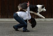 Im Dogdance wird unter anderem bewertet, wie gut Hund und Besitzerin respektive Besitzer zusammenarbeiten. (Bild: Reto Martin)