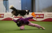 Auch im Ring ein gutes Team: Monika Ballerini und Border Collie Breeze belegten 2018 an der Europameisterschaft den dritten Rang. Bild: pd