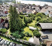 Blick über die Steckborner Altstadt Richtung Feldbach.Bild: Andrea Stalder