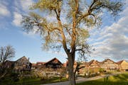 Das Projekt wurde in enger Absprache mit der kantonalen Denkmalpflege sowie den Burgauerinnen und Burgauern erarbeitet. (Bilder: PD)