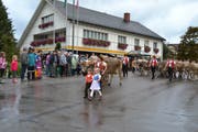 Die sennische Auffuhr lockt am frühen Morgen viel Publikum an. (Bild: Adi Lippuner)