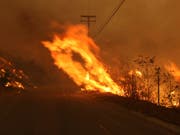 Bevorstehende Extrem-Winde stellen für die Feuerwehrleute in Kalifornien im Kampf gegen die Buschbrände eine Gefahr dar. (Bild: KEYSTONE/AP/REED SAXON)