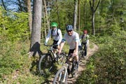 Biker im Wald: Im Bild sind Mountainbiker auf einem für sie freigegebenen Weg, also legal unterwegs. (Bild: Olivia Hug - 25. April 2014)