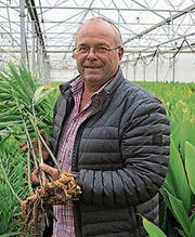 Stephan Müller: Ingwer-Pionier und Gemüsebauer aus dem Zürcher Unterland. Bild: Urs Bader