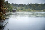 Der Bommer Weiher in der Gemeinde Kemmental ist ein Flachmoor und Amphibienlaichgebiet von nationaler Bedeutung. (Reto Martin)