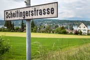 Die Frage, wie die Scheitingerwiese in Steckborn überbaut werden soll, ist noch lange nicht geklärt. (Bild: Reto Martin)