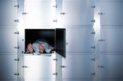 Mehr Menschen spenden heute ihren Körper nach dem Tod der Forschung. Bild: Shutterstock