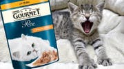 Lukrative Schleckmäuler: Mit Katzen- und Hundefutter setzt Nestlé 12,8 Milliarden Franken um. (Bild: zvg/Keystone/Montage:kob)