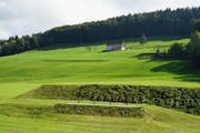 Blick zur Beckenhalde: Vorne der Kugelfang der 50-Meter-Schussdistanz, rechts oben im Schatten die Zielscheiben des 300-Meter-Schiessstands. Links im Bild ist der Skilift zu sehen. (Bild: Sandro Büchler)