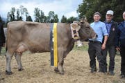 OB-Champion «Belinda» aus dem Stall von Gusti Zurlfuh, Isenthal. (Bild: Urs Hanhart, Schattdorf, 5. Oktober 2019)