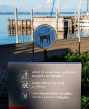 Am Rorschacher Seeufer müssen Hunde zu jeder Jahreszeit an die Leine. (Bild: Jolanda Riedener)