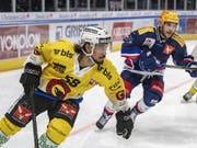 Eric Blum (links) erzielte den vierten Treffer des SC Bern beim 4:1-Heimsieg in der Champions League gegen Grenoble (Bild: KEYSTONE/URS FLUEELER)