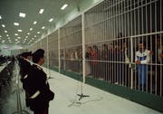 Lebenslänglich hinter Gittern: Mafia-Mitglieder vor einem Prozess in Neapel. Bild: Getty Images (Neapel, 7. Februar 1985)