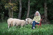 «Ich bin sehr direkt»: Monique Frey mit drei von ihr mitbetreuten Schafen bei sich zu Hause in Emmen. (Bild: Pius Amrein, 30. September 2019)
