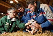 Von links: Christian Manser, Lukas Frehner und Beat von Rickenbach begutachten das Säuli von allen Seiten. (Bild: Ralph Ribi)