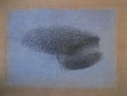 Doris Schläpfer hat diesen Vogelschwarm mit Tusche gezeichnet und den Himmel mit Acrylfarbe gemalt. Bild: PD