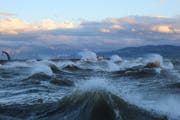 Im Bodensee steckt viel Energie. (Hubert Wegmann)
